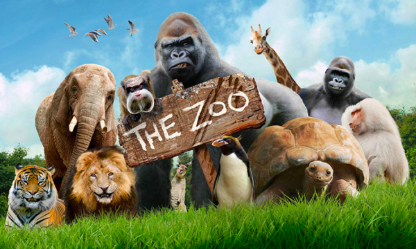 The Zoo Documentary TV Show Cinémoi